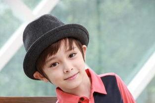 什么涛的明星,揭秘明星背后的故事