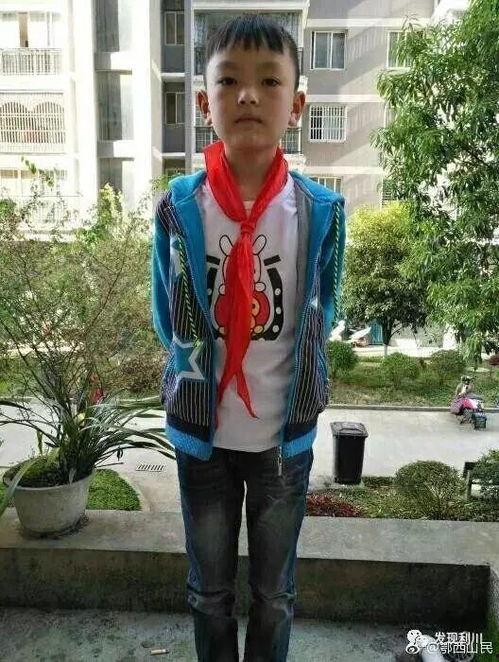 湖北网红爸爸,育儿路上的温馨守护者