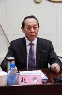 演员赵锦,光影交织，演绎人生百态