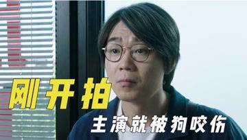 娱乐吃瓜君成果,明星幕后故事大曝光！